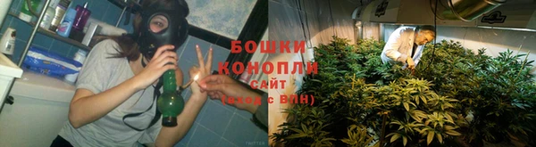 мдпв Бронницы