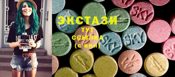 ECSTASY Бородино