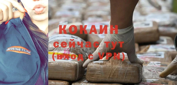 индика Тутаев